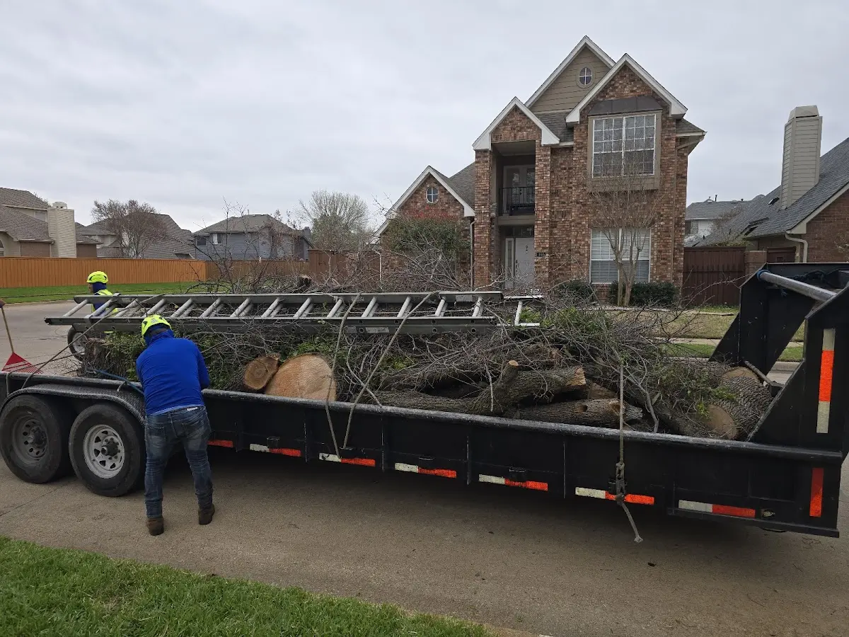 Expert Crown Reduction with proper safety equipment in Denham Springs